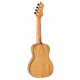 Ortega RUMG Horizon Series укулеле концертный, с чехлом, манго