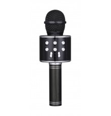 FunAudio G-800 Black беспроводной микрофон, черный