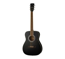 Parkwood PF51 BKS акустическая гитара с чехлом