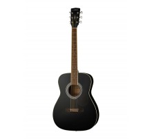 Parkwood PF51 BKS акустическая гитара с чехлом