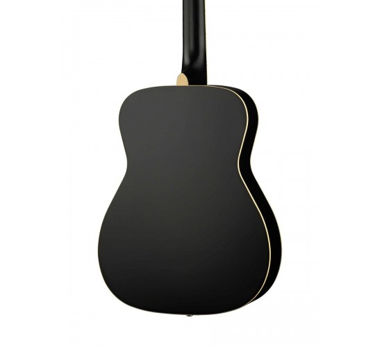 Parkwood PF51 BKS акустическая гитара с чехлом