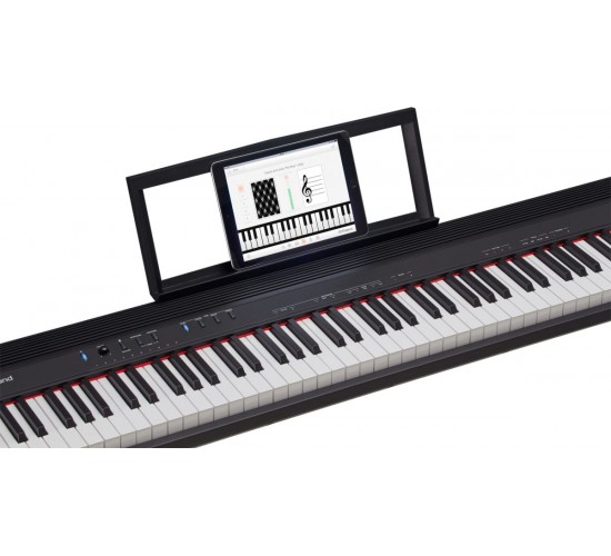 Roland GO:PIANO (GO-88P) Цифровое пианино