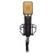 Proel EIKON CM14USB конденсаторный микрофон с USB-интерфейсом и выходом XLR