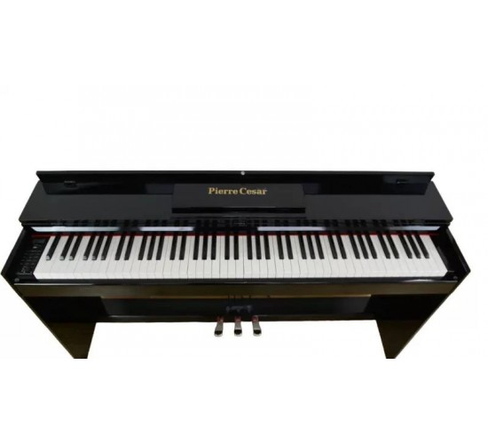 Pierre Cesar XY-8813-H-BK цифровое фортепиано, 88 клавиш