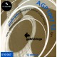 Galli AGP1047-12 Комплект струн для 12-струнной акустической гитары