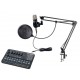 Foix V10XPRO+BM900 Набор для стрима, конференций, игровой, студийный (микрофон, звуковая карта)