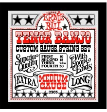 Ernie Ball 2303 струны для 4 стр. тенор банджо Stainless Steel Medium (10-15-24w-30)
