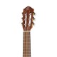 Ortega RGL5 Bonfire Series Гитарлеле 6-струнный
