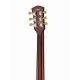Cort CR200 GT электрогитара, цвет Gold top