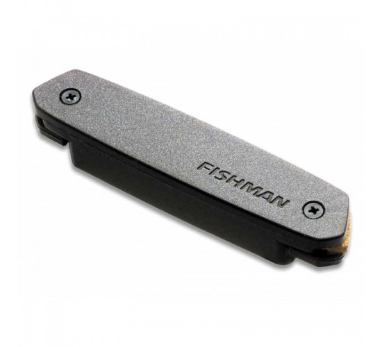 Fishman PRO-NEO-D01 Neo-D Гитарный магнитный звукосниматель сингл, черный
