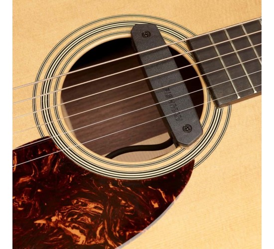 Fishman PRO-NEO-D01 Neo-D Гитарный магнитный звукосниматель сингл, черный