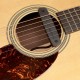 Fishman PRO-NEO-D01 Neo-D Гитарный магнитный звукосниматель сингл, черный