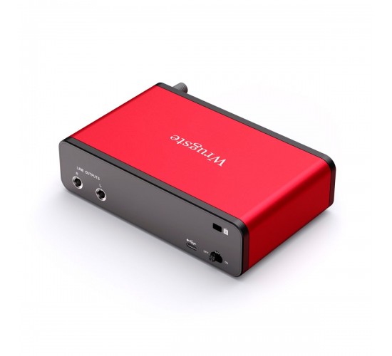 Wrugste GV-AR004 аудиоинтерфейс USB, 2 входа (комбинированные XLR/Jack)/2 выхода