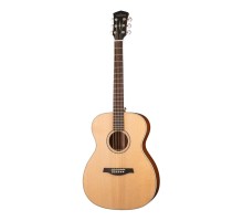 Parkwood S22-GT акустическая гитара, с чехлом, глянец