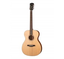 Parkwood S22-GT акустическая гитара, с чехлом, глянец