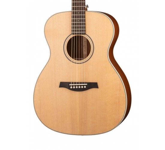 Parkwood S22-GT акустическая гитара, с чехлом, глянец