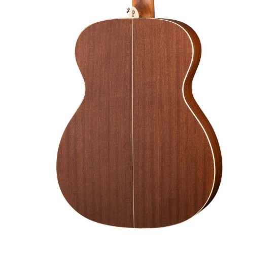 Parkwood S22-GT акустическая гитара, с чехлом, глянец
