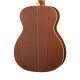 Parkwood S22-GT акустическая гитара, с чехлом, глянец