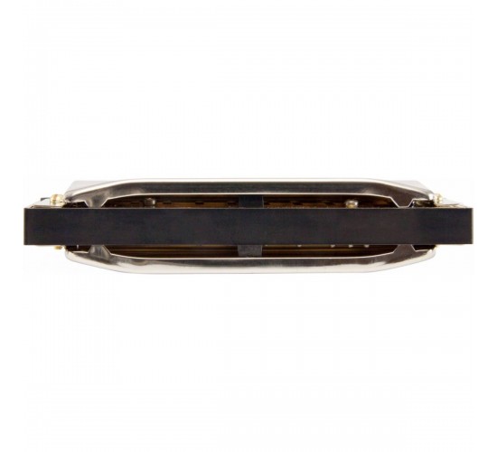 Hohner Special 20 560/20 G (M560086X) губная гармоника Richter Classic, корпус пластик