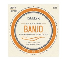 D'Addario EJ55 Комплект струн для 5-струнного банджо, фосф.бронза, Medium, 10-23 EJ55