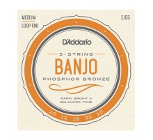 D'Addario EJ55 Комплект струн для 5-струнного банджо, фосф.бронза, Medium, 10-23 EJ55
