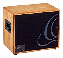 Ortega SONE Гитарный кабинет 6,5"