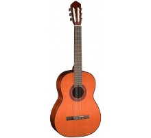 Cort AC100DX YT BAG классическая гитара, серия Deluxe с анкером и чехлом, цвет Yellow Tinted