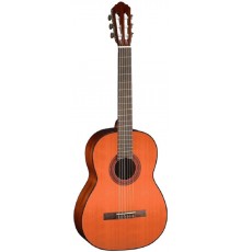 Cort AC100DX YT BAG классическая гитара, серия Deluxe с анкером и чехлом, цвет Yellow Tinted