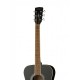 Parkwood PF51E-BKS электроакустическая гитара с чехлом