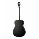 Parkwood PF51E-BKS электроакустическая гитара с чехлом