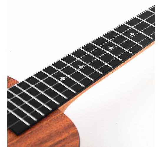 Enya EUC-X1 укулеле концерт, с чехлом и аксессуарами в комплекте