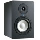 Axelvox PM-5A Студийные мониторы (пара)