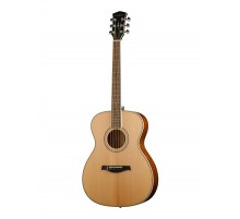 Parkwood P620 акустическая гитара, с футляром, цвет натуральный, отделка глянцевая