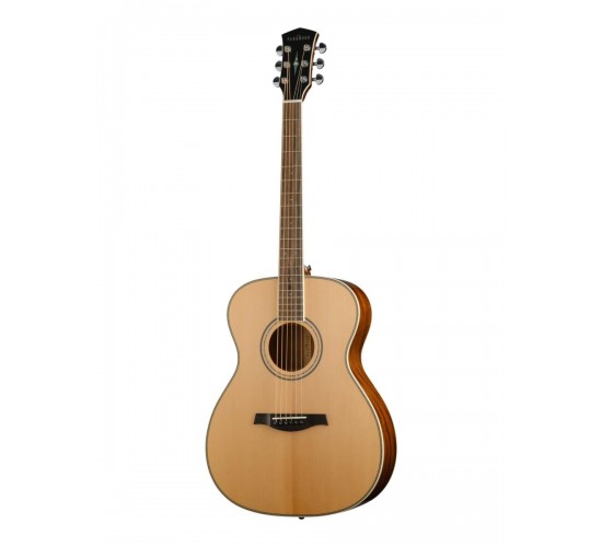 Parkwood P620 акустическая гитара, с футляром, цвет натуральный, отделка глянцевая