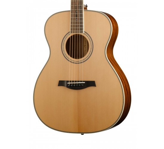 Parkwood P620 акустическая гитара, с футляром, цвет натуральный, отделка глянцевая