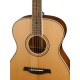 Parkwood P620 акустическая гитара, с футляром, цвет натуральный, отделка глянцевая