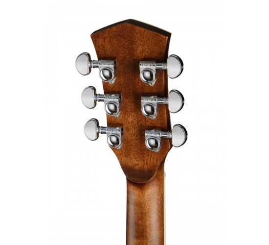 Parkwood P620 акустическая гитара, с футляром, цвет натуральный, отделка глянцевая