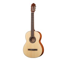 Parkwood PC90 Классическая гитара 4/4 с чехлом