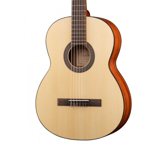 Parkwood PC90 Классическая гитара 4/4 с чехлом