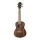 Ortega RUEB-CC Ebony Series Укулеле концертный, с чехлом