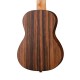Ortega RUEB-CC Ebony Series Укулеле концертный, с чехлом