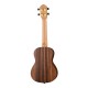 Ortega RUEB-CC Ebony Series Укулеле концертный, с чехлом