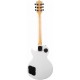 Terris TLP-039 WH электрогитара Les Paul, HH, цвет белый
