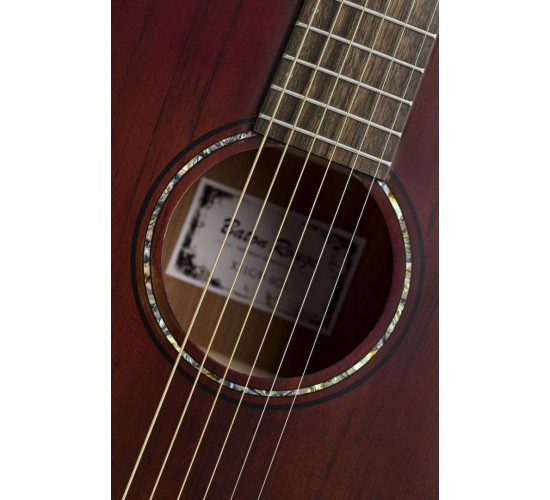 Baton Rouge X11C/P SCR Акустическая гитара