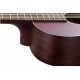 Baton Rouge X11C/P SCR Акустическая гитара