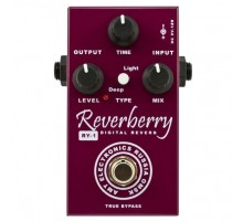 AMT RY-1 Reverberry Цифровой ревербератор