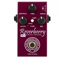 AMT RY-1 Reverberry Цифровой ревербератор