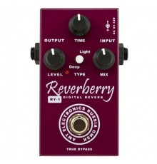 AMT RY-1 Reverberry Цифровой ревербератор
