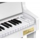 Casio Celviano GP-310WE цифровое фортепиано