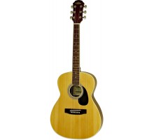 Aria AFN-15-58 N акустическая гитара